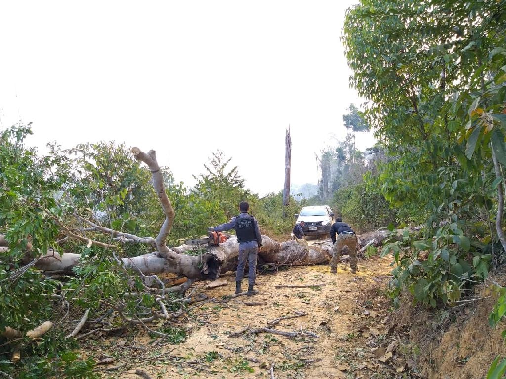 Equipes de fiscalização ambiental sofrem emboscadas em Colniza · Câmara  Municipal de Peixoto de Azevedo - MT